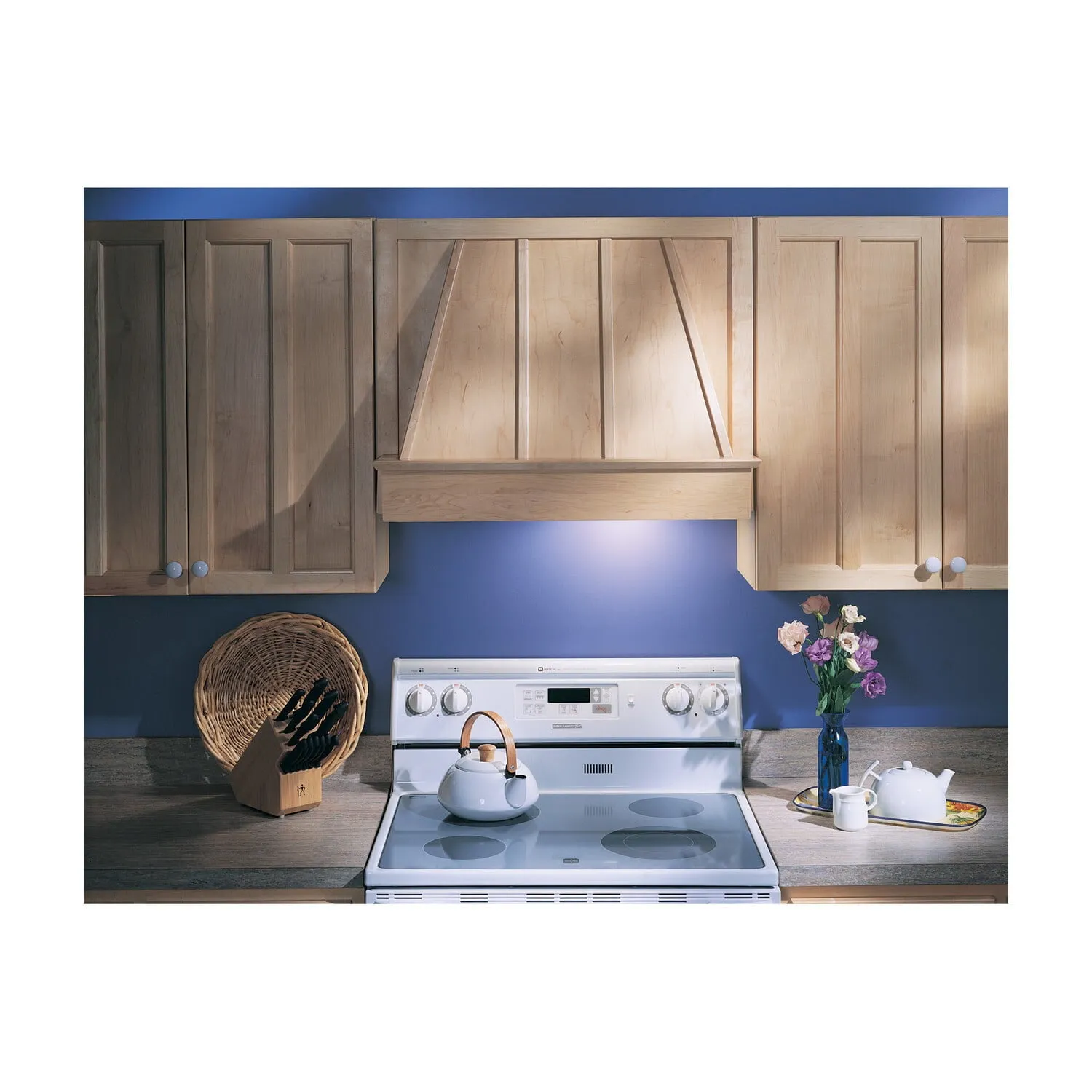 Broan NSPM250 Broan 20-1/2-Inch Custom Range Hood Power Pack. Silver Finish. 250 Cfm
