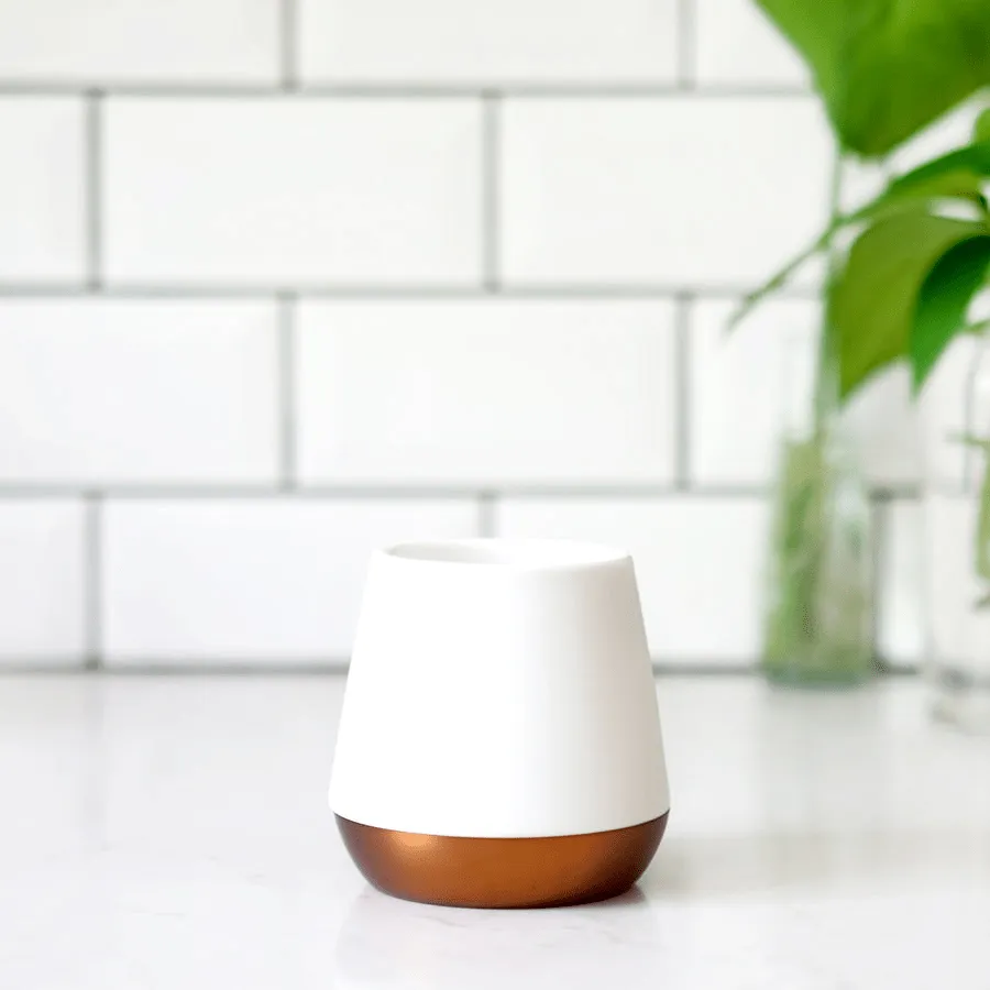 Fellow - Joey Double Wall Ceramic Mugs - Matte Black. Matte White