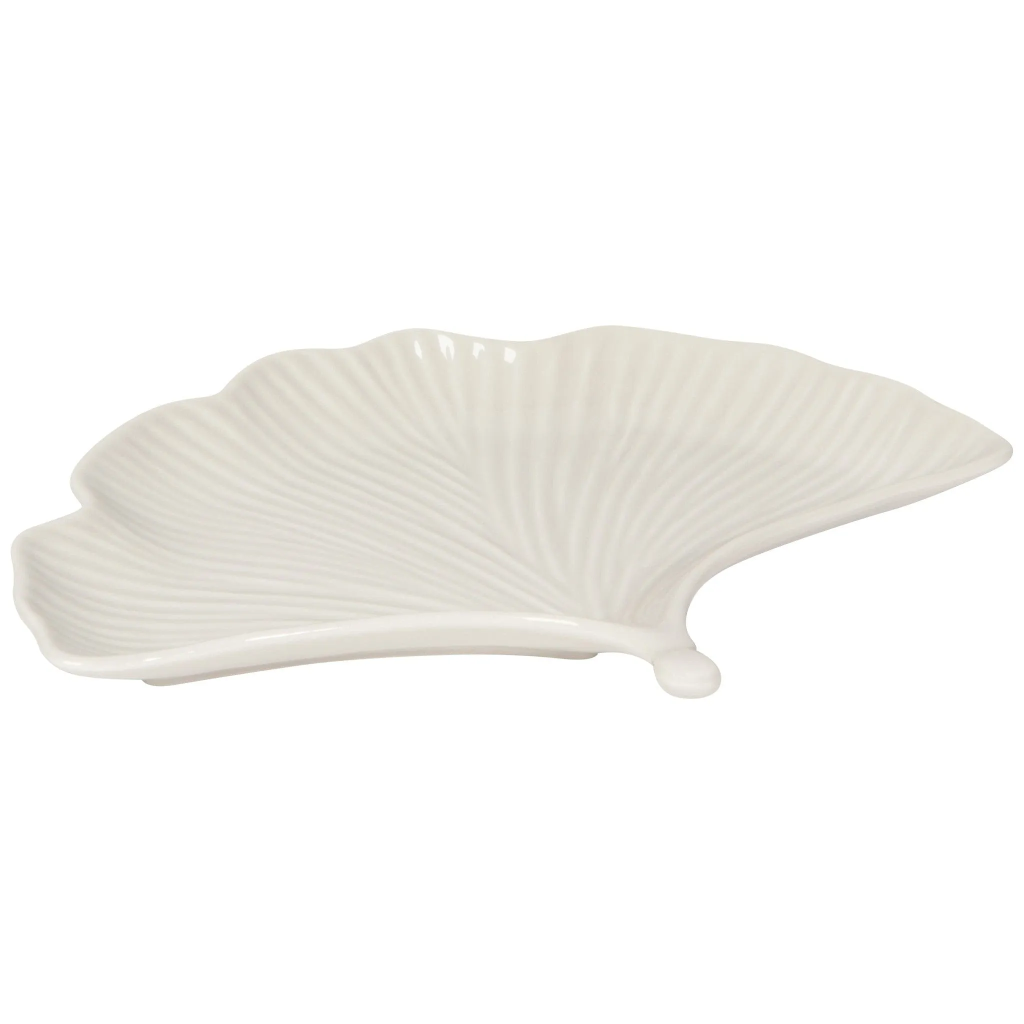 Ginkgo Plate - 10