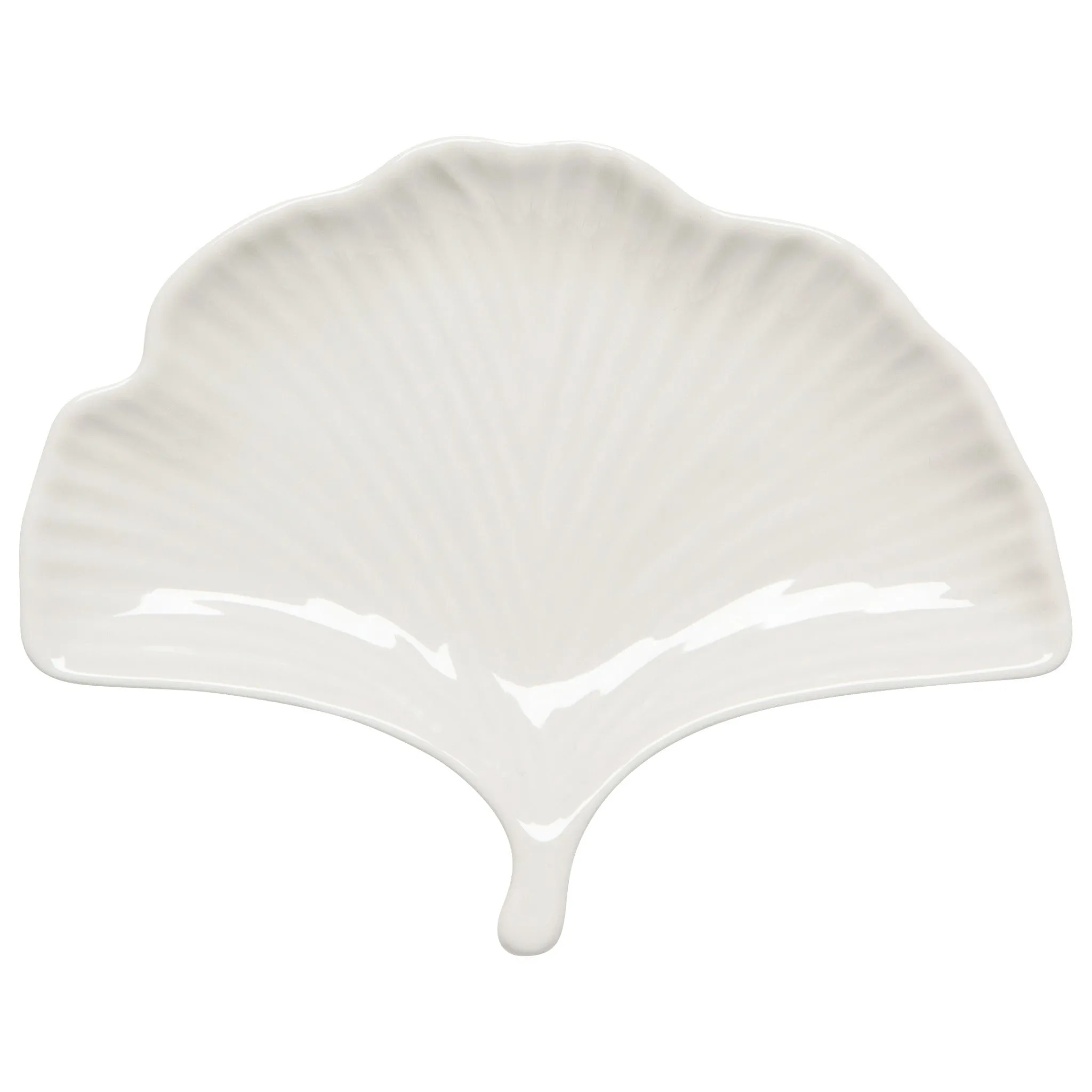 Ginkgo Plate - 6