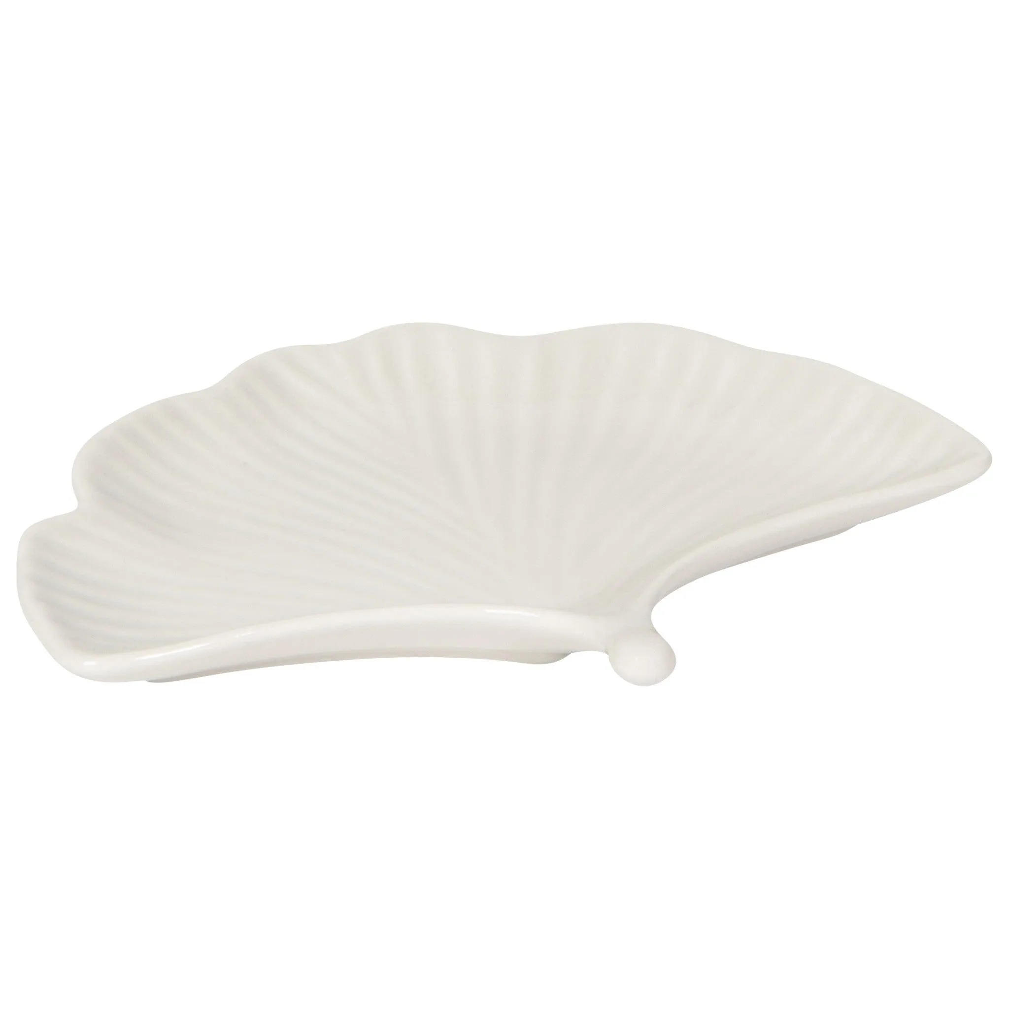 Ginkgo Plate - 6