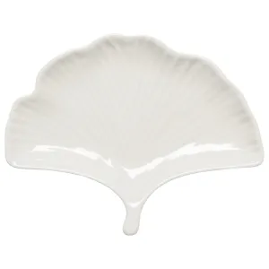 Ginkgo Plate - 6