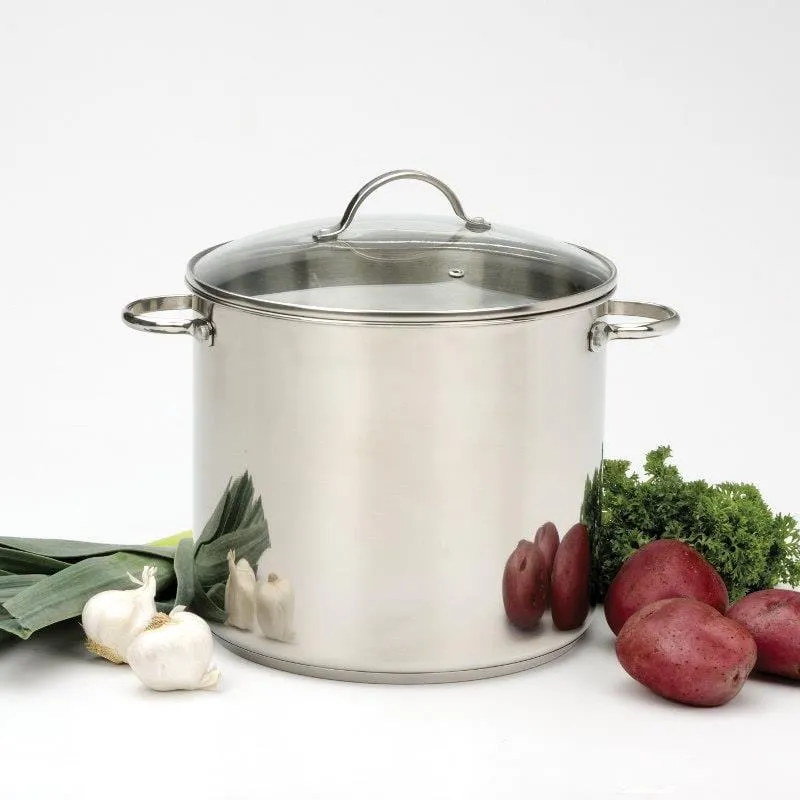 Stainless Steel Stock Pot